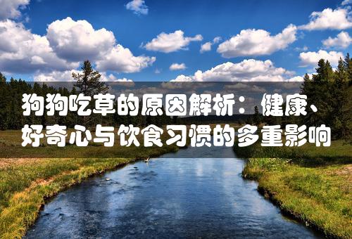 狗狗吃草的原因解析：健康、好奇心与饮食习惯的多重影响