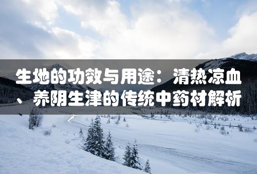 生地的功效与用途：清热凉血、养阴生津的传统中药材解析