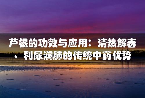 芦根的功效与应用：清热解毒、利尿润肺的传统中药优势