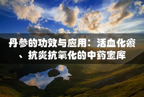 丹参的功效与应用：活血化瘀、抗炎抗氧化的中药宝库