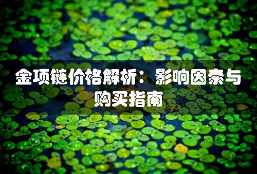 金项链价格解析：影响因素与购买指南