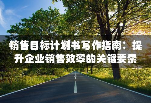 销售目标计划书写作指南：提升企业销售效率的关键要素