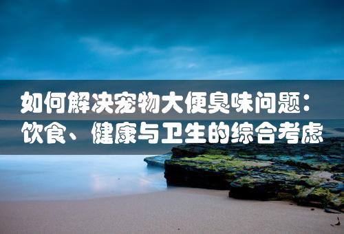 如何解决宠物大便臭味问题：饮食、健康与卫生的综合考虑