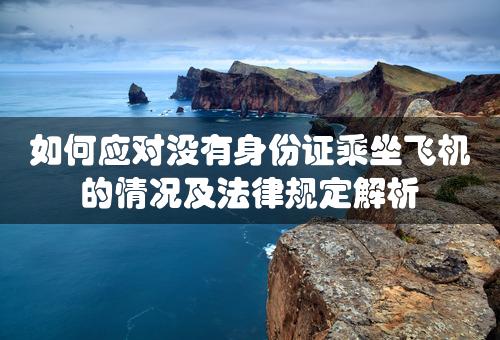 如何应对没有身份证乘坐飞机的情况及法律规定解析