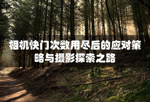 相机快门次数用尽后的应对策略与摄影探索之路