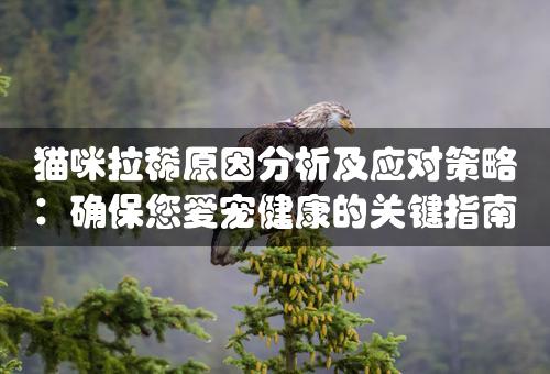 猫咪拉稀原因分析及应对策略：确保您爱宠健康的关键指南