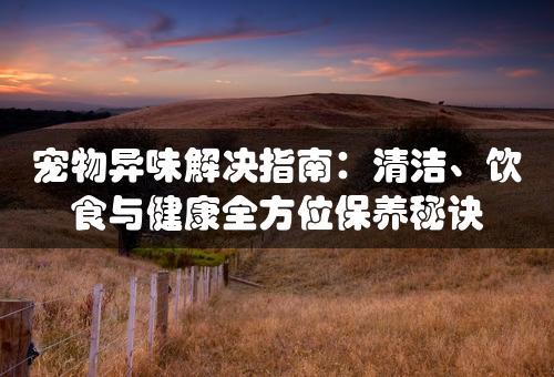 宠物异味解决指南：清洁、饮食与健康全方位保养秘诀