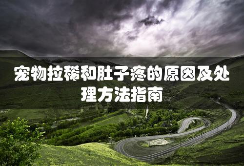 宠物拉稀和肚子疼的原因及处理方法指南