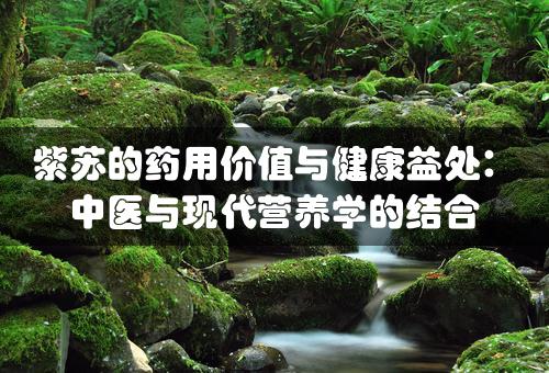 紫苏的药用价值与健康益处：中医与现代营养学的结合