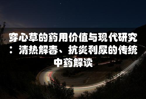 穿心草的药用价值与现代研究：清热解毒、抗炎利尿的传统中药解读