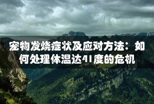 宠物发烧症状及应对方法：如何处理体温达41度的危机