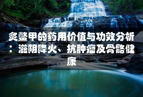 炙鳖甲的药用价值与功效分析：滋阴降火、抗肿瘤及骨骼健康