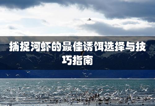 捕捉河虾的最佳诱饵选择与技巧指南