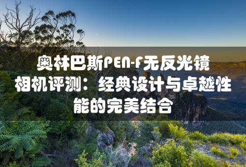 奥林巴斯PEN-F无反光镜相机评测：经典设计与卓越性能的完美结合