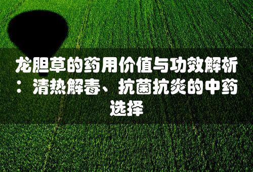 龙胆草的药用价值与功效解析：清热解毒、抗菌抗炎的中药选择