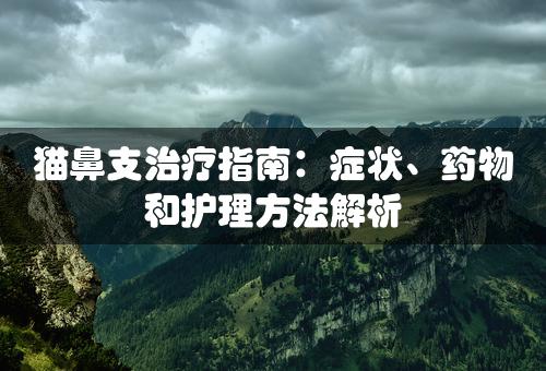 猫鼻支治疗指南：症状、药物和护理方法解析