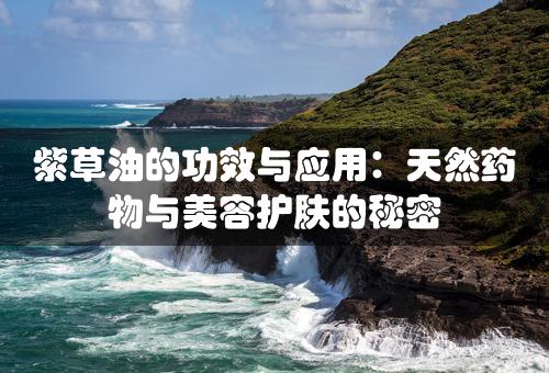 紫草油的功效与应用：天然药物与美容护肤的秘密