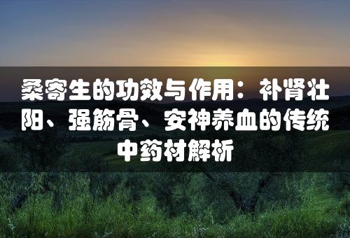 桑寄生的功效与作用：补肾壮阳、强筋骨、安神养血的传统中药材解析