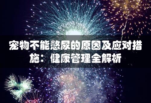 宠物不能憋尿的原因及应对措施：健康管理全解析