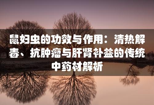 鼠妇虫的功效与作用：清热解毒、抗肿瘤与肝肾补益的传统中药材解析