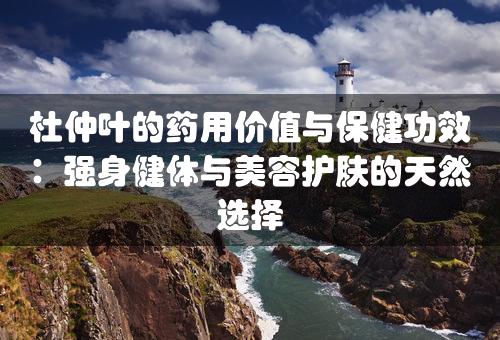 杜仲叶的药用价值与保健功效：强身健体与美容护肤的天然选择