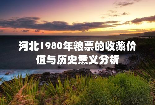 河北1980年粮票的收藏价值与历史意义分析