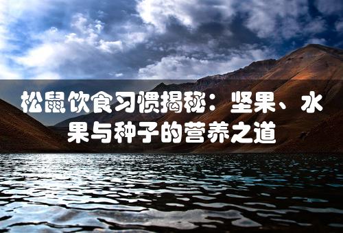 松鼠饮食习惯揭秘：坚果、水果与种子的营养之道