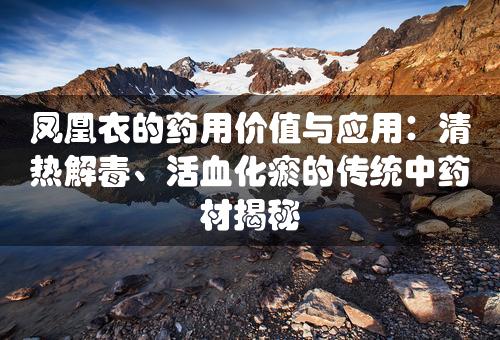 凤凰衣的药用价值与应用：清热解毒、活血化瘀的传统中药材揭秘