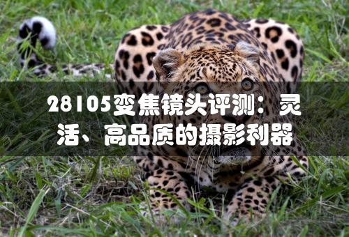 28105变焦镜头评测：灵活、高品质的摄影利器