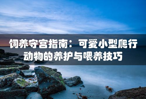 饲养守宫指南：可爱小型爬行动物的养护与喂养技巧