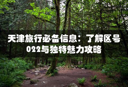 天津旅行必备信息：了解区号022与独特魅力攻略