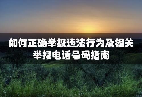 如何正确举报违法行为及相关举报电话号码指南