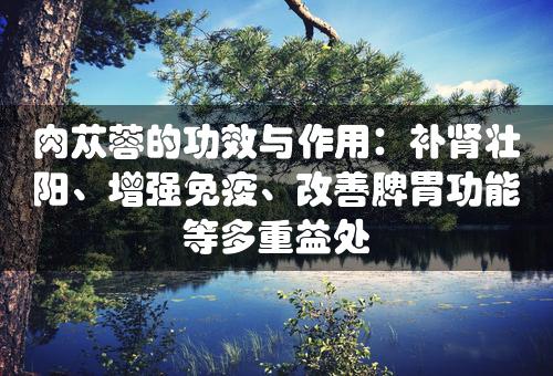 肉苁蓉的功效与作用：补肾壮阳、增强免疫、改善脾胃功能等多重益处