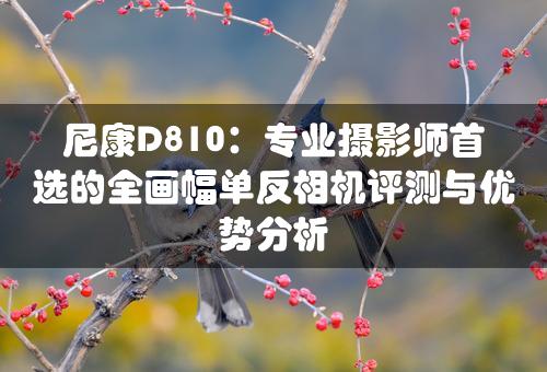 尼康D810：专业摄影师首选的全画幅单反相机评测与优势分析