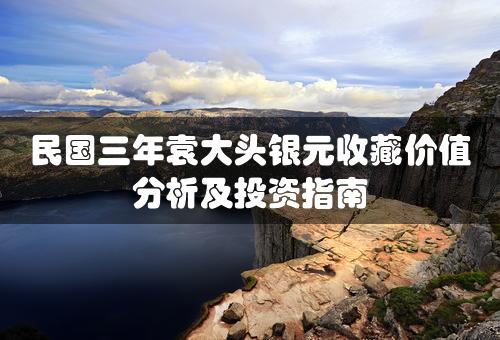 民国三年袁大头银元收藏价值分析及投资指南