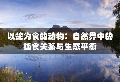 以蛇为食的动物：自然界中的捕食关系与生态平衡