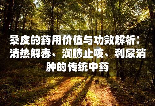 桑皮的药用价值与功效解析：清热解毒、润肺止咳、利尿消肿的传统中药