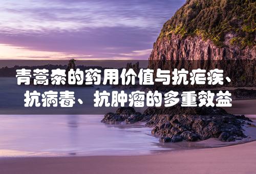 青蒿素的药用价值与抗疟疾、抗病毒、抗肿瘤的多重效益