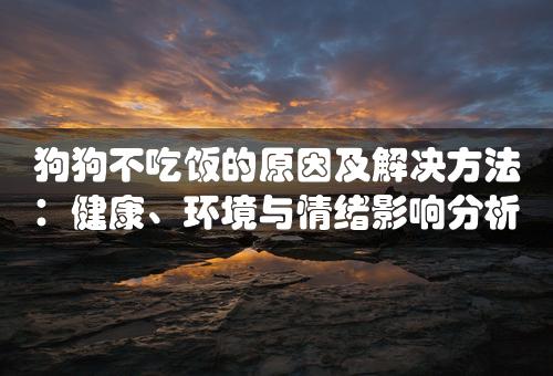 狗狗不吃饭的原因及解决方法：健康、环境与情绪影响分析