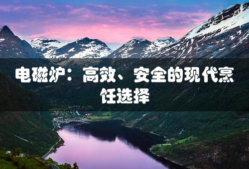 电磁炉：高效、安全的现代烹饪选择