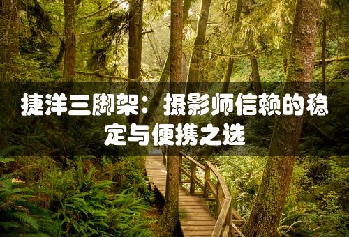 捷洋三脚架：摄影师信赖的稳定与便携之选