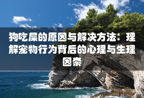 狗吃屎的原因与解决方法：理解宠物行为背后的心理与生理因素