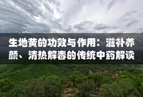 生地黄的功效与作用：滋补养颜、清热解毒的传统中药解读