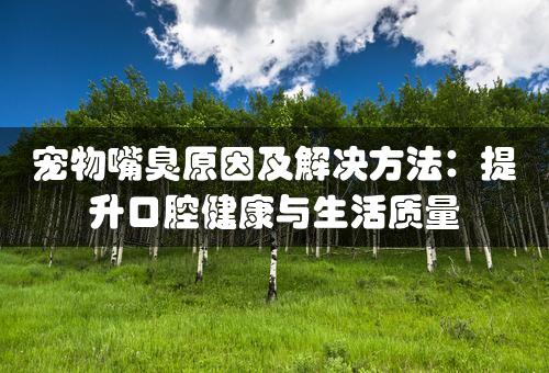 宠物嘴臭原因及解决方法：提升口腔健康与生活质量