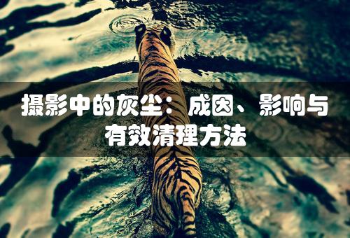 摄影中的灰尘：成因、影响与有效清理方法