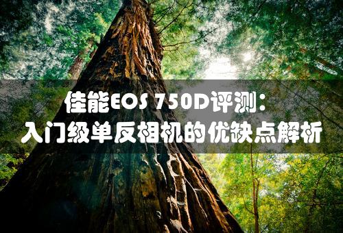 佳能EOS 750D评测：入门级单反相机的优缺点解析