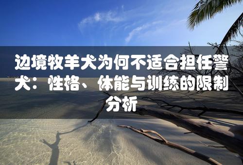 边境牧羊犬为何不适合担任警犬：性格、体能与训练的限制分析