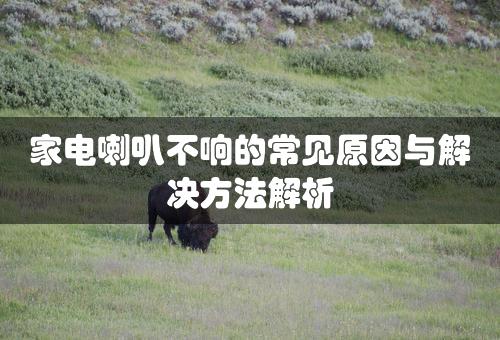 家电喇叭不响的常见原因与解决方法解析