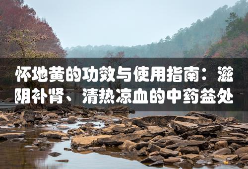 怀地黄的功效与使用指南：滋阴补肾、清热凉血的中药益处