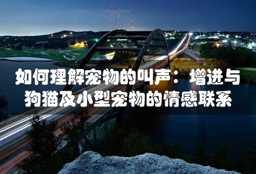 如何理解宠物的叫声：增进与狗猫及小型宠物的情感联系